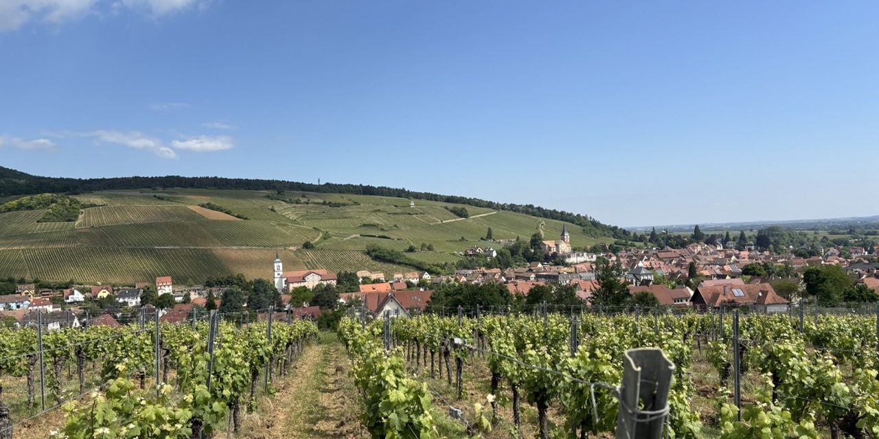 Je suis un chevalier du trail